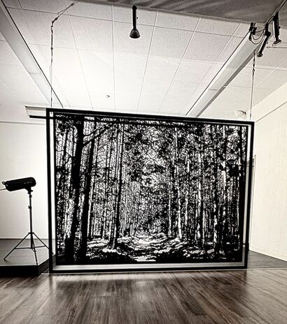 THE PATH - a Sculpture & Installation Artowrk by Gaby Studer
